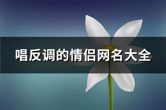 唱反调的情侣网名大全(77个)