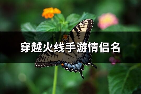 穿越火线手游情侣名(精选246个)