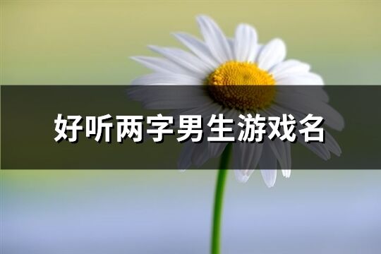 好听两字男生游戏名(精选921个)