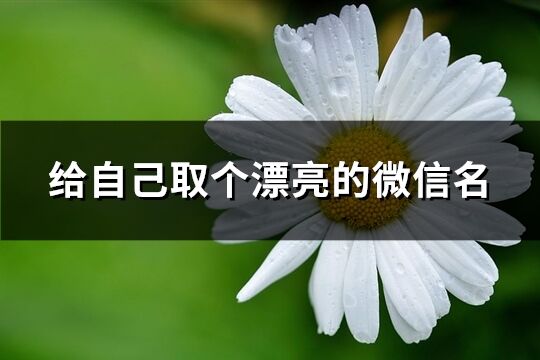 给自己取个漂亮的微信名(共492个)