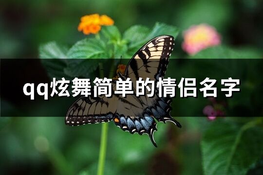 qq炫舞简单的情侣名字(共73个)