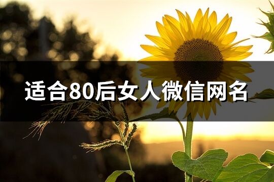 适合80后女人微信网名(489个)