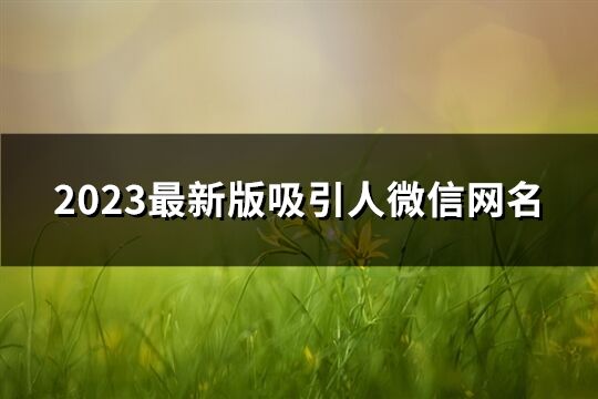 2023最新版吸引人微信网名(精选1597个)