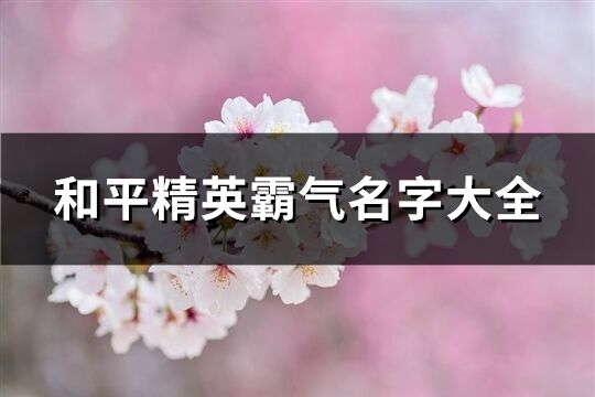 和平精英霸气名字大全(373个)