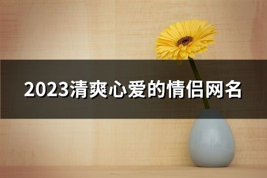 2023清爽心爱的情侣网名(共523个)