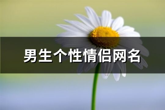 男生个性情侣网名(精选70个)