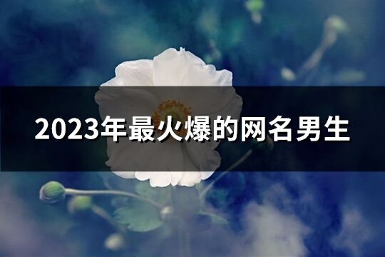 2023年最火爆的网名男生(1334个)