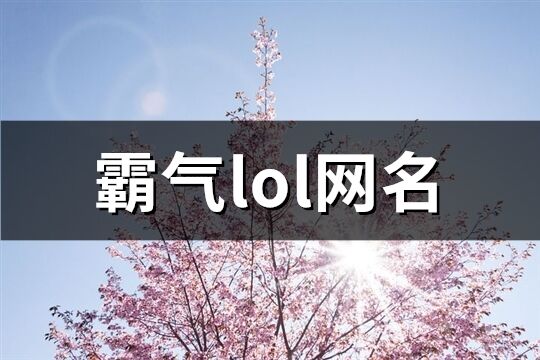 霸气lol网名(精选241个)