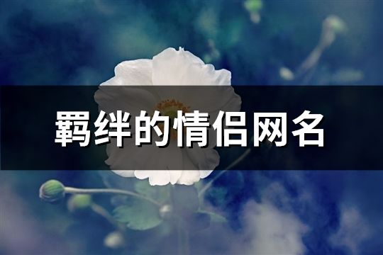 羁绊的情侣网名(146个)