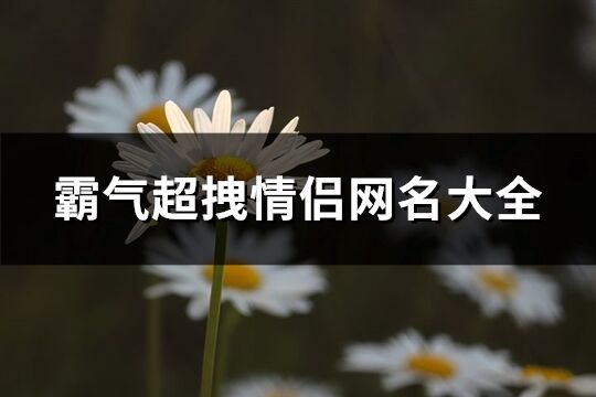 霸气超拽情侣网名大全(共76个)