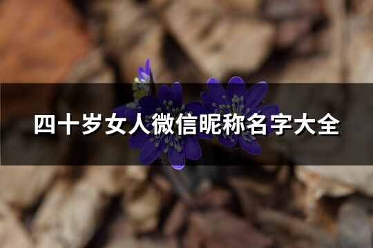 四十岁女人微信昵称名字大全(260个)