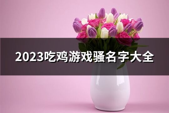 2023吃鸡游戏骚名字大全(500个)