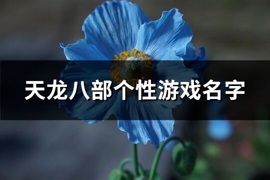 天龙八部个性游戏名字(精选218个)