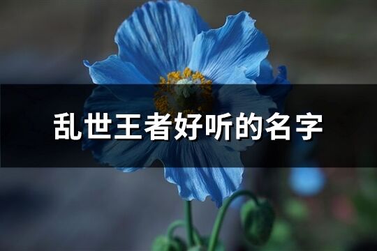 乱世王者好听的名字(共172个)