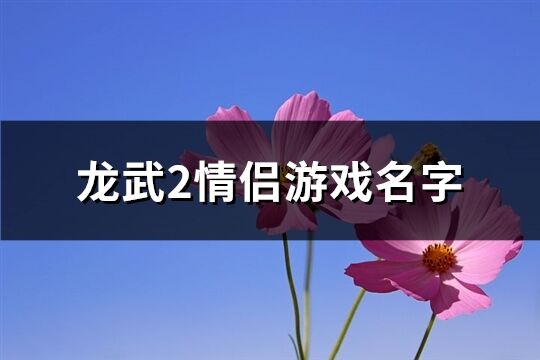 龙武2情侣游戏名字(共103个)