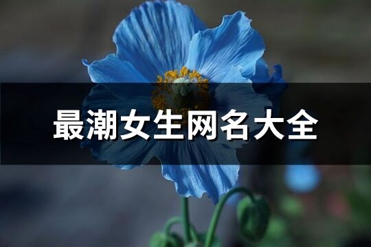 最潮女生网名大全(共458个)