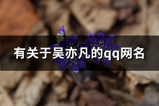 有关于吴亦凡的qq网名(精选78个)