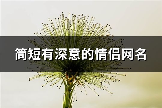 简短有深意的情侣网名(162个)