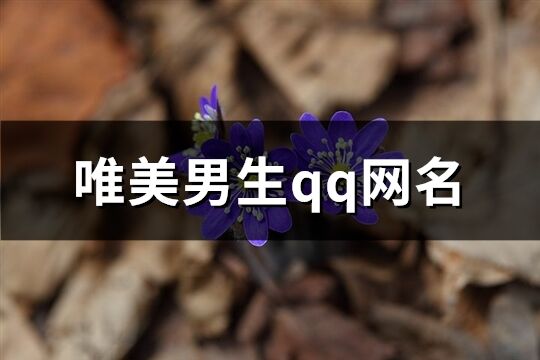 唯美男生qq网名(精选110个)