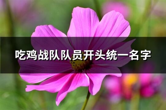 吃鸡战队队员开头统一名字(共72个)