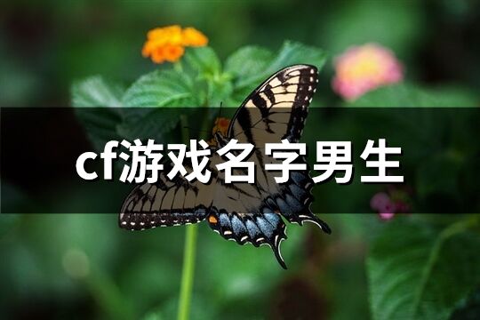 cf游戏名字男生(共349个)