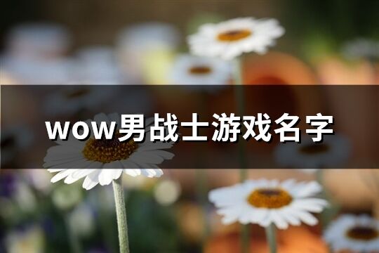 wow男战士游戏名字(精选1598个)