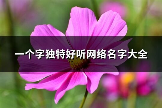 一个字独特好听网络名字大全(452个)