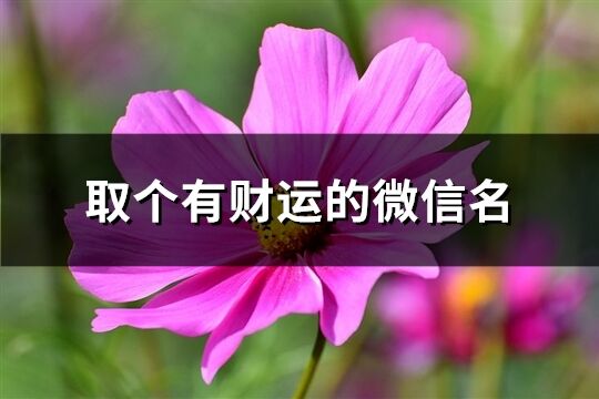 取个有财运的微信名(精选509个)