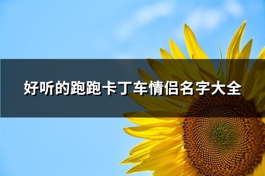 好听的跑跑卡丁车情侣名字大全(精选136个)