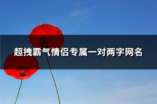 超拽霸气情侣专属一对两字网名(精选160个)