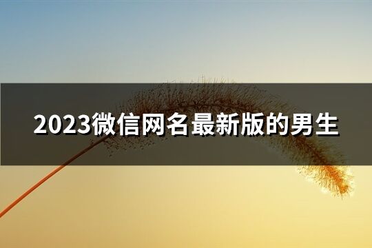 2023微信网名最新版的男生(1345个)