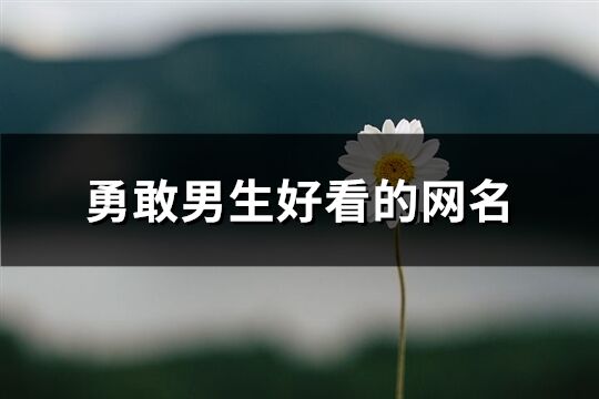 勇敢男生好看的网名(共397个)