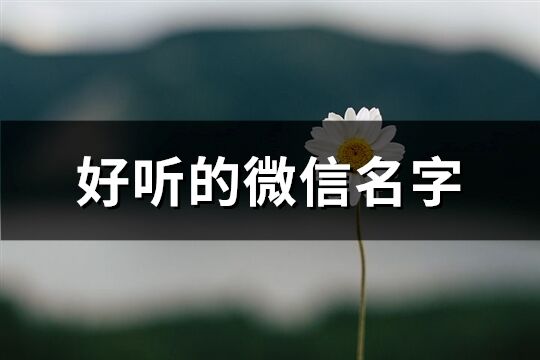 好听的微信名字(1208个)