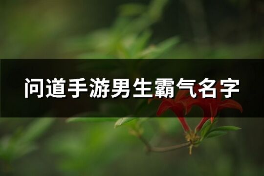 问道手游男生霸气名字(共468个)