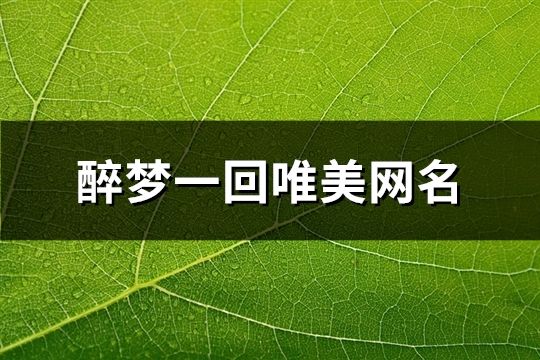 醉梦一回唯美网名(共65个)