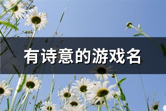 有诗意的游戏名(共310个)