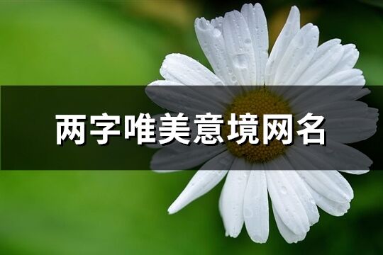 两字唯美意境网名(共154个)