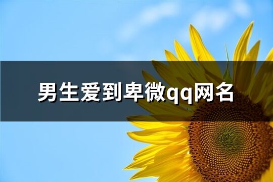 男生爱到卑微qq网名(共239个)