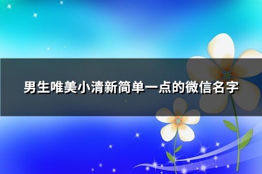 男生唯美小清新简单一点的微信名字(精选404个)