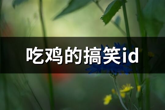 吃鸡的搞笑id(共412个)