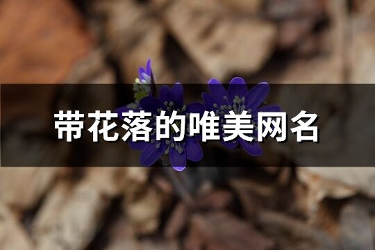 带花落的唯美网名(共299个)