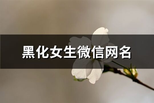 黑化女生微信网名(精选222个)