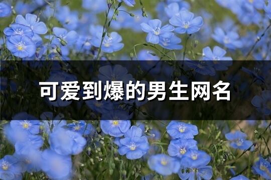 可爱到爆的男生网名(共302个)