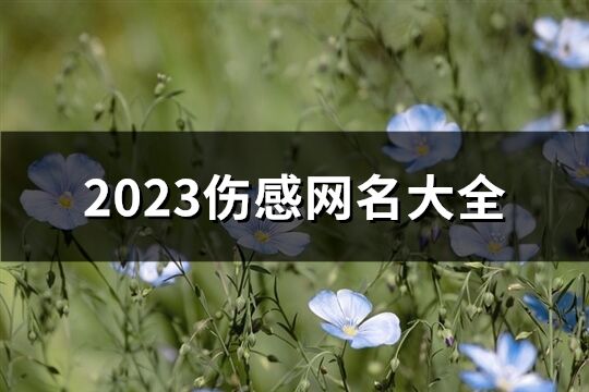 2023伤感网名大全(精选560个)