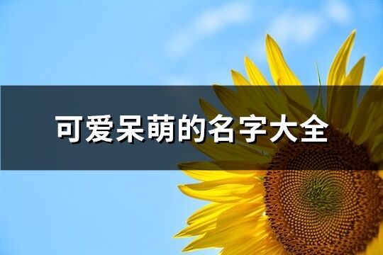 可爱呆萌的名字大全(精选313个)