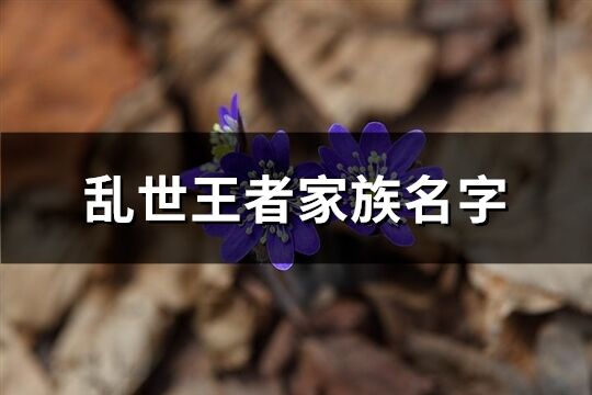 乱世王者家族名字(精选179个)