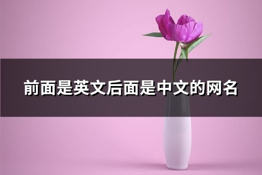 前面是英文后面是中文的网名(共97个)