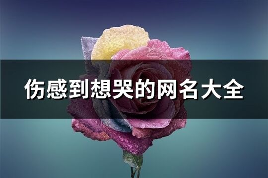 伤感到想哭的网名大全(共567个)