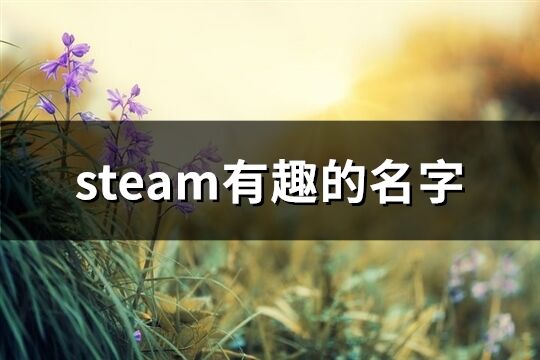 steam有趣的名字(共349个)