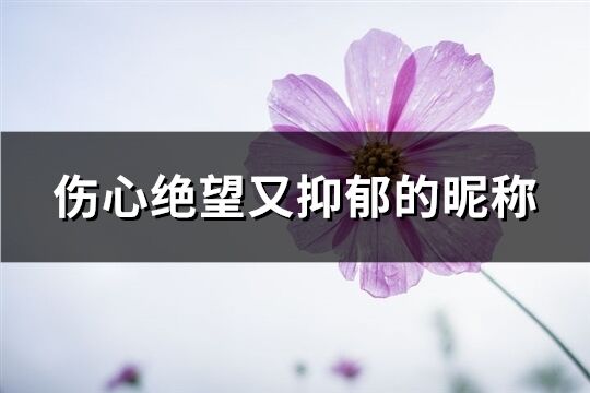 伤心绝望又抑郁的昵称(精选371个)